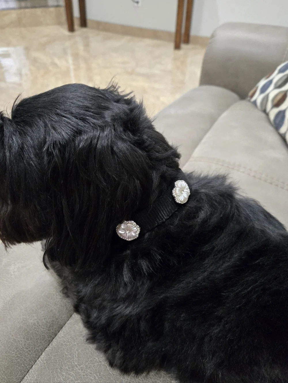 NEW! Luxury Rhinestone Camelia Flower Collar